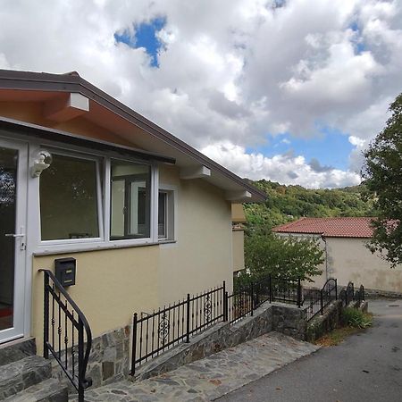 Apartma Apollonio Črni Kal Dış mekan fotoğraf